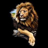 Wildlife - Big Face Proud Lion Portrait Cooling Performance Crew T-Shirt