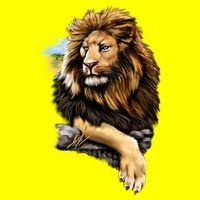 Wildlife - Big Face Proud Lion Portrait Womens T-Shirt