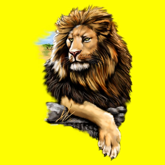 Wildlife - Big Face Proud Lion Portrait Womens T-Shirt