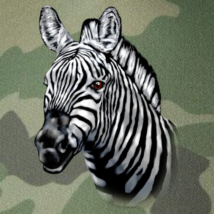 Wildlife - Big Face Zebra Up Close Portrait Legacy Tie Dye Trucker Hat
