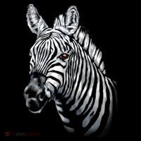 Wildlife - Big Face Zebra Up Close Portrait Baby Bodysuit