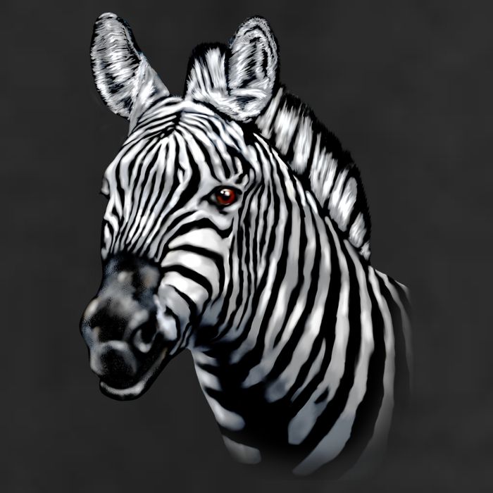 Wildlife - Big Face Zebra Up Close Portrait Golf Towel