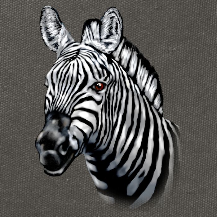 Wildlife - Big Face Zebra Up Close Portrait Cotton Canvas Backpack