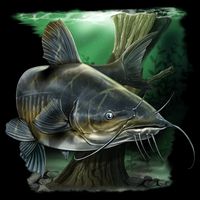 Wildlife - Catfish Swim Mug