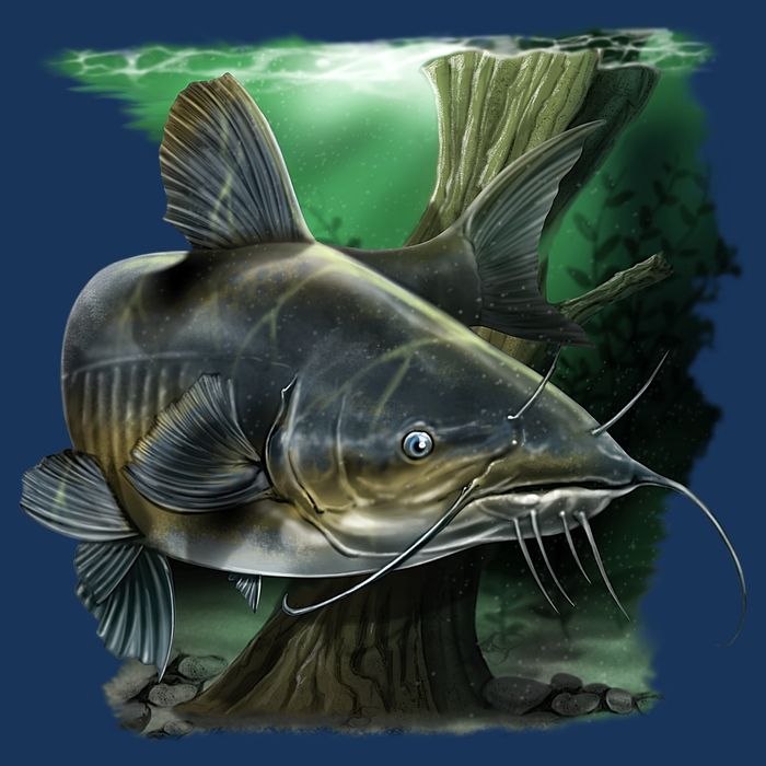 Wildlife - Catfish Swim Cooling Performance Crew T-Shirt