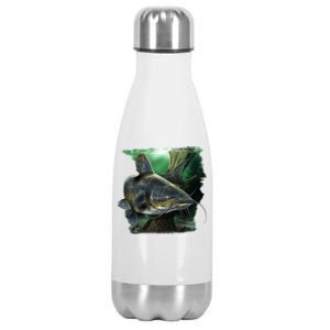 Wildlife - Catfish Swim Stainless Steel Insulated Water Bottle