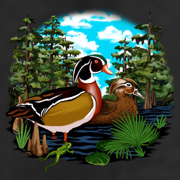 Wildlife - Ducks Portrait Adult Drive Performance Visor