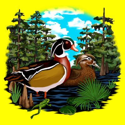 Wildlife - Ducks Portrait T-Shirt
