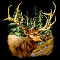Wildlife - Elk Portrait Cooling Performance Crew T-Shirt