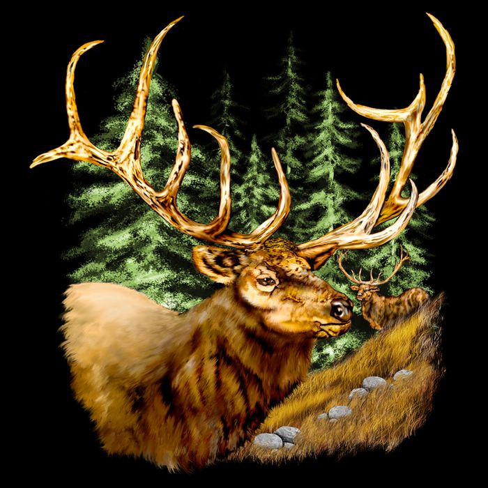 Wildlife - Elk Portrait Cooling Performance Crew T-Shirt