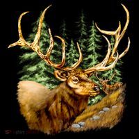 Wildlife - Elk Portrait Drawstring Bag