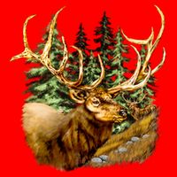 Wildlife - Elk Portrait Hoodie