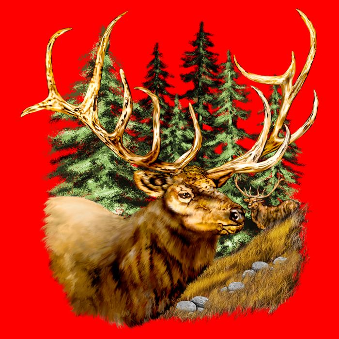 Wildlife - Elk Portrait Hoodie