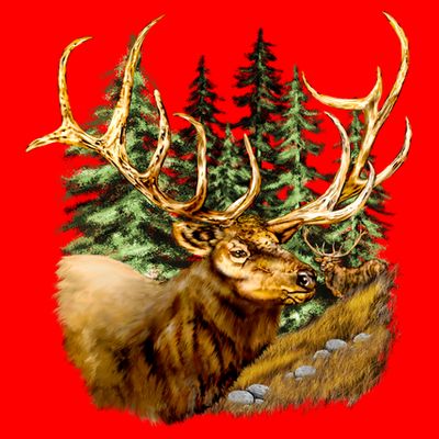 Wildlife - Elk Portrait T-Shirt