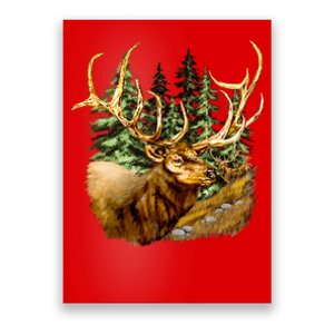 Wildlife - Elk Portrait Poster