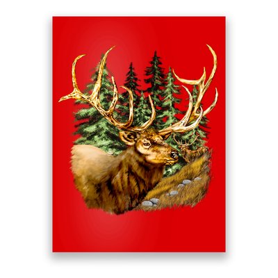 Wildlife - Elk Portrait Poster