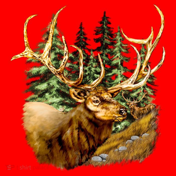 Wildlife - Elk Portrait Kids T-Shirt