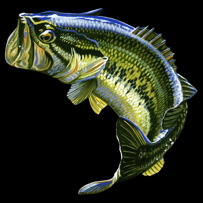Wildlife - Large Mouth Bass Jumping City Backpack