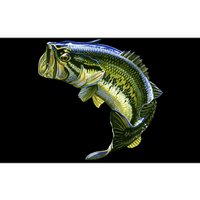 Wildlife - Large Mouth Bass Jumping Bumper Sticker