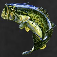 Wildlife - Large Mouth Bass Jumping 11oz C Handle Ceramic Mug