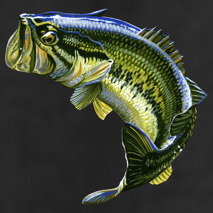 Wildlife - Large Mouth Bass Jumping 11oz C Handle Ceramic Mug