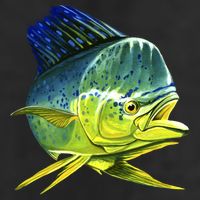 Wildlife - Mahi Mahi Adult Drive Performance Visor