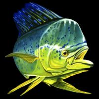 Wildlife - Mahi Mahi Flat Bill Trucker Hat