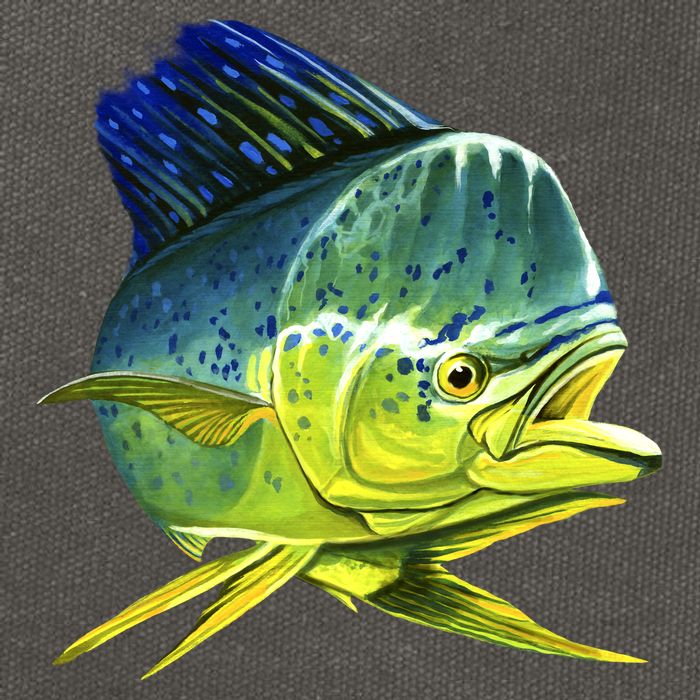 Wildlife - Mahi Mahi Cotton Canvas Backpack