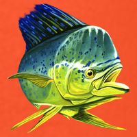Wildlife - Mahi Mahi Button
