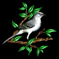 Wildlife - Mockingbird Posing Portrait Apron