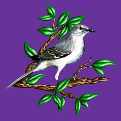 Wildlife - Mockingbird Posing Portrait T-Shirt