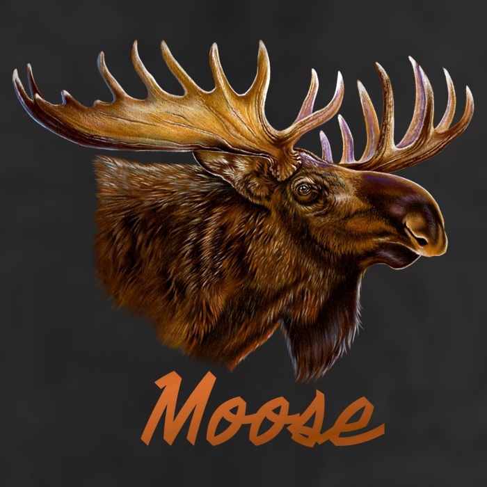 Wildlife - Moose Head Portrait Adult Drive Performance Visor