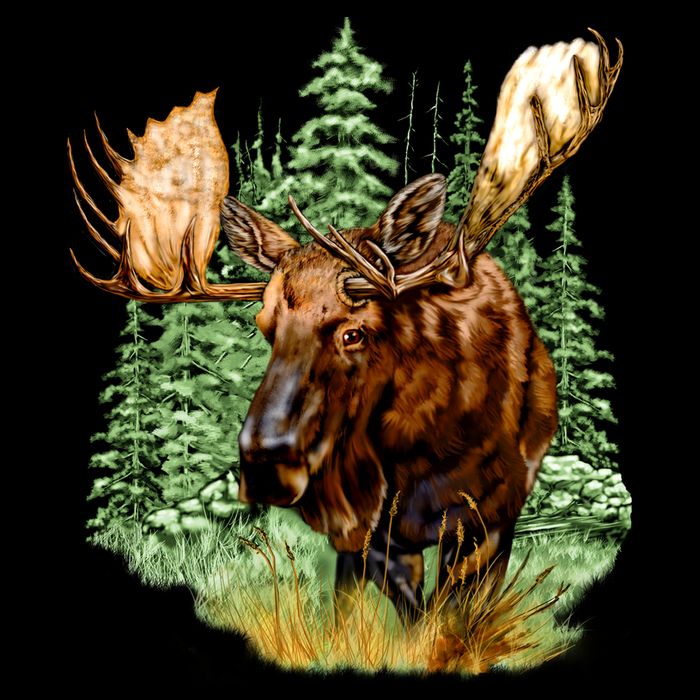 Wildlife - Moose Portrait City Backpack