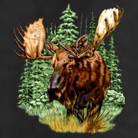 Wildlife - Moose Portrait Adult Drive Performance Visor