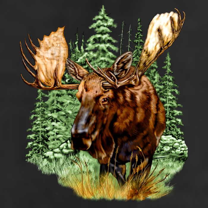 Wildlife - Moose Portrait Adult Drive Performance Visor