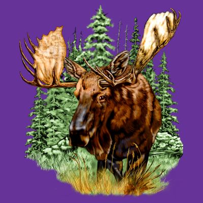 Wildlife - Moose Portrait T-Shirt