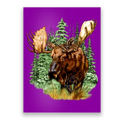 Wildlife - Moose Portrait Poster