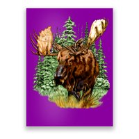 Wildlife - Moose Portrait Poster