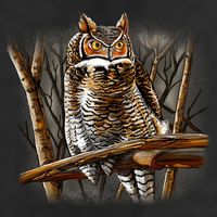 Wildlife - Owl Perched Cool Comfort Performance Bucket Hat