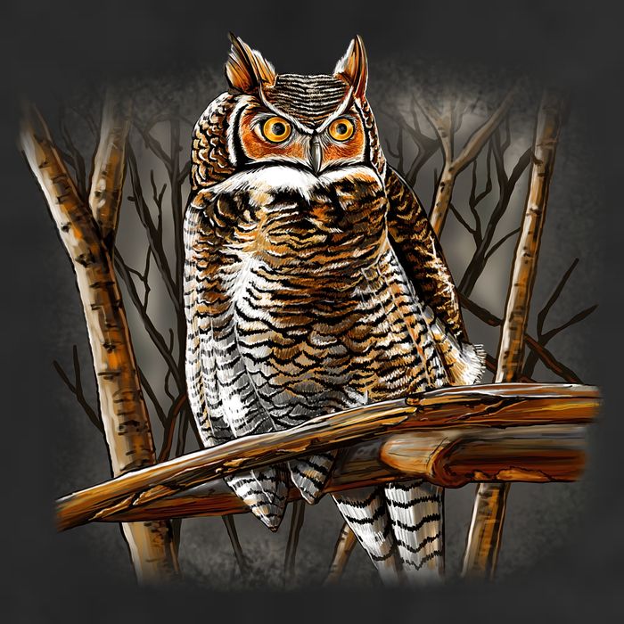 Wildlife - Owl Perched Cool Comfort Performance Bucket Hat