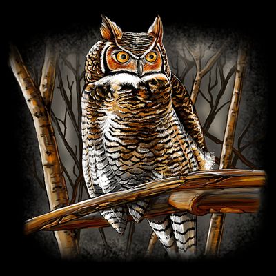 Wildlife - Owl Perched T-Shirt