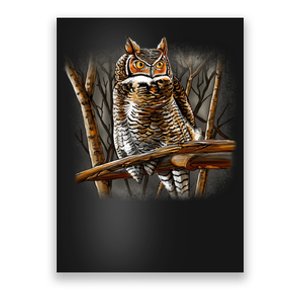 Wildlife - Owl Perched Poster