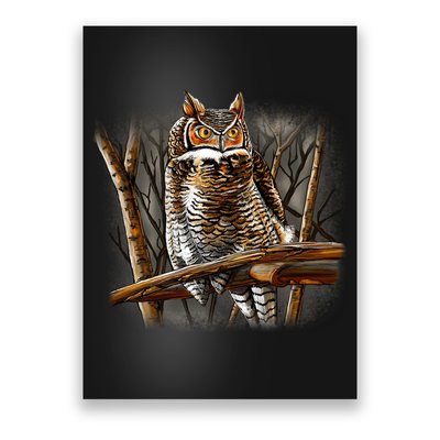 Wildlife - Owl Perched Poster