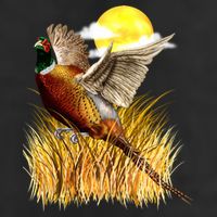 Wildlife - Pheasant Bird Portrait Adult Drive Performance Visor