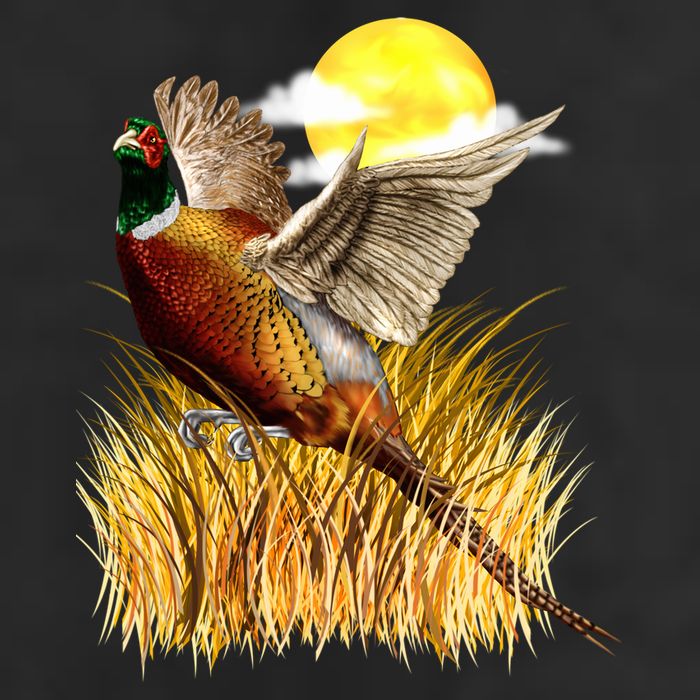 Wildlife - Pheasant Bird Portrait Adult Drive Performance Visor