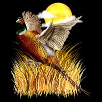Wildlife - Pheasant Bird Portrait Magnet