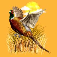 Wildlife - Pheasant Bird Portrait Cooling Performance Crew T-Shirt