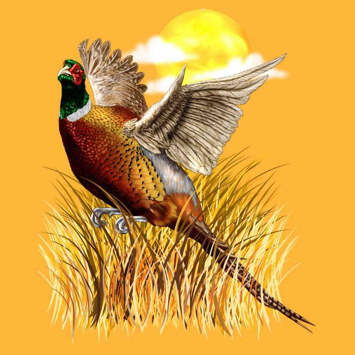 Wildlife - Pheasant Bird Portrait Cooling Performance Crew T-Shirt