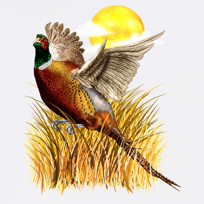 Wildlife - Pheasant Bird Portrait Garment-Dyed Sweatshirt