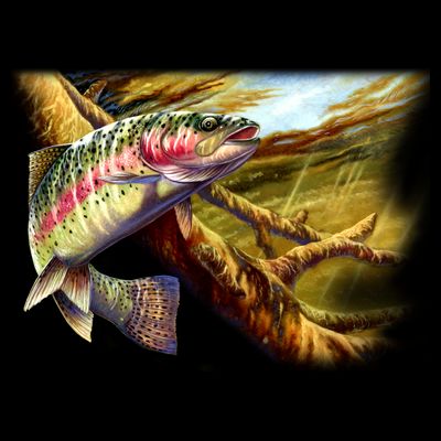 Wildlife - Rainbow Trout T-Shirt